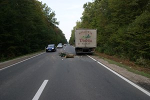 Slika PU_VS/Prometne/otvorena cesta_udar u kamion odozada.JPG